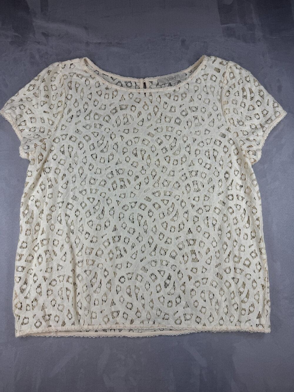 LOFT Women's Ivory Swirl Eyelet Sheer Embroidered Large Short Sleeve Blouse